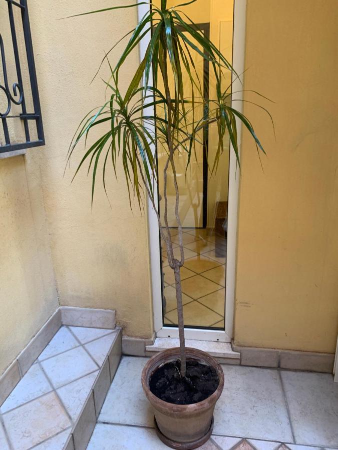 Biora Apartments Cagliari Eksteriør billede